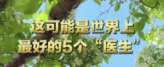 有片｜這可能是世界上最好的5個「醫生」