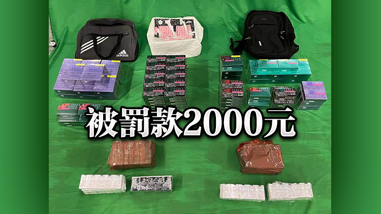 行李藏2400支未完稅香煙及3.2萬支另類吸煙產品 內地女判囚6月