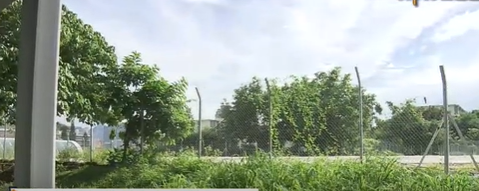 何文田佛光街住宅地暫收10分標書 