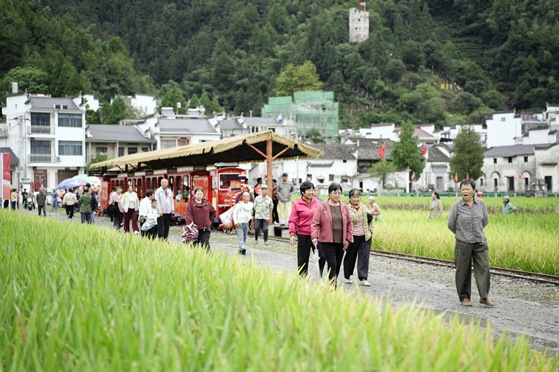 【港商觀察】從「參觀式」向「沉浸式」深度轉型：紅色文旅的「柯村解法」