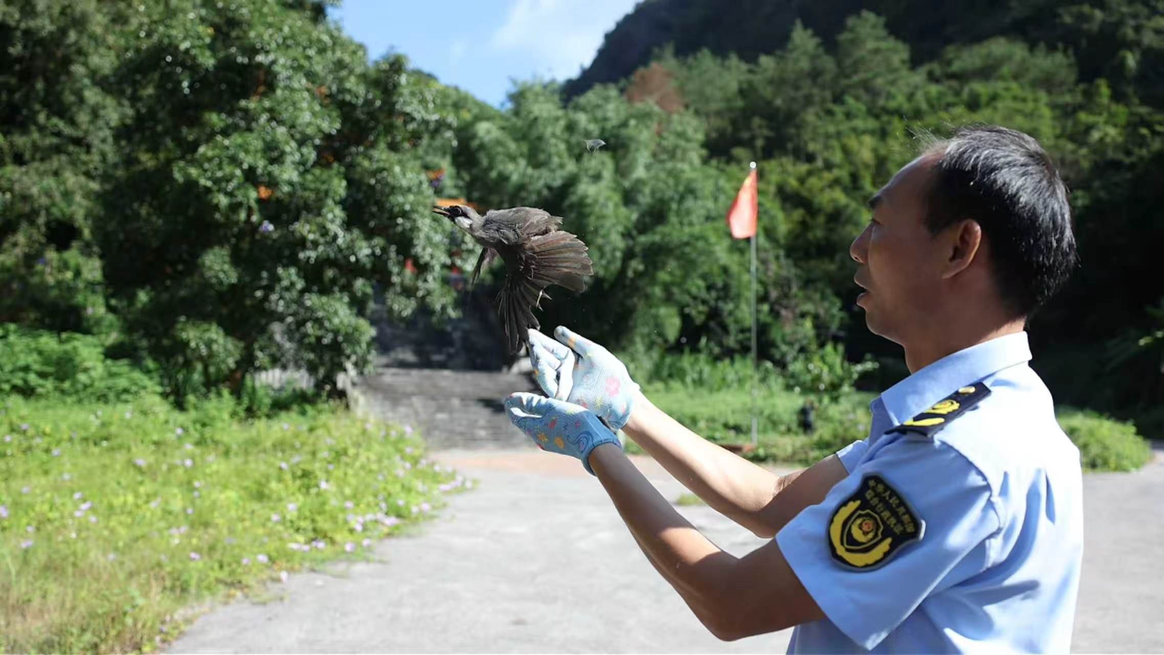 桂容縣以實際行動守護生物多樣性