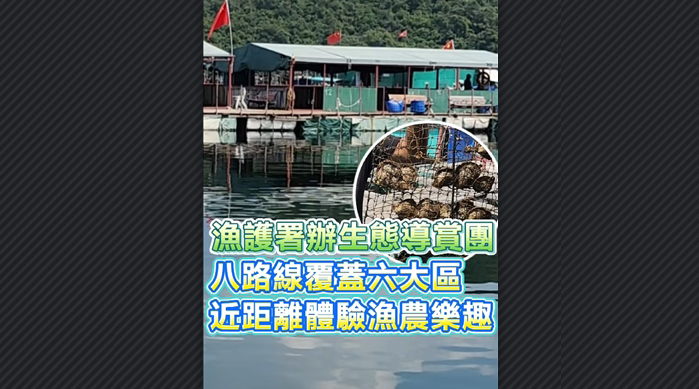 有片丨生態導賞團掀熱潮 漁護署增推8條新路線