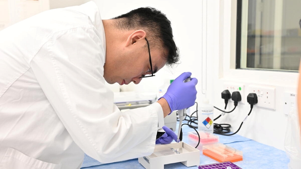 衞生署政府中藥檢測中心研發高效檢測方法 至今已完成22專題項目