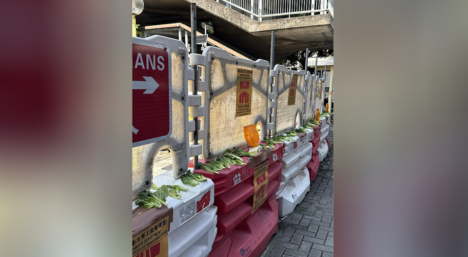 有片〡工地水馬驚現曬菜乾陣 網民笑爆：十月芥菜盡用空間