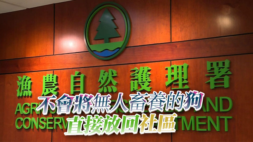 漁護署展開特別行動 優先到高風險地點加強捕捉無人看管狗隻