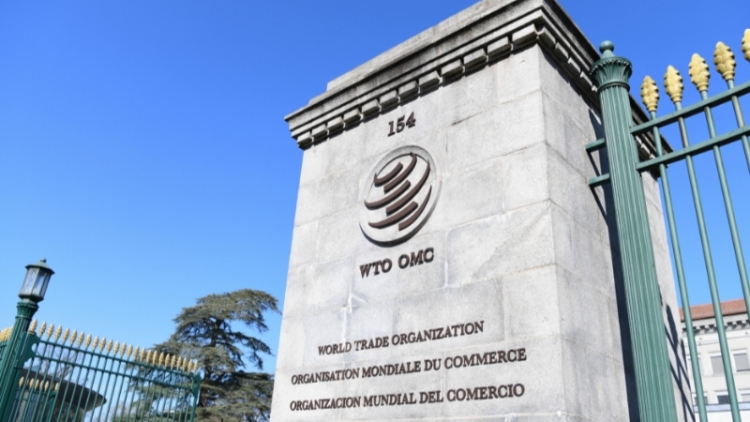 WTO料今年全球貨物貿易增長3.9%% 上半年AI投資強勁