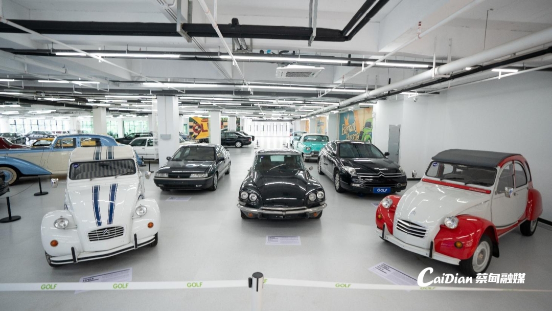 經典老車馳騁賽道！蔡甸高邦探索汽車文化產業全新業態