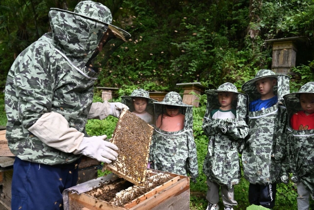 山水課堂拓眼界 官門山研學實踐國慶熱度走高
