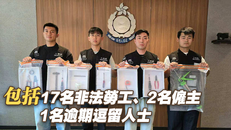 跨部門全港打擊黑工 搜查餐廳裝修單位及美容院 拘捕20人