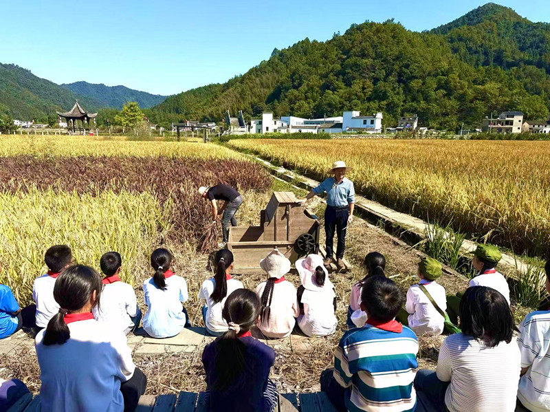 皖黟縣柯村鎮：「耕讀課堂」接地氣  陽光少年悅身心
