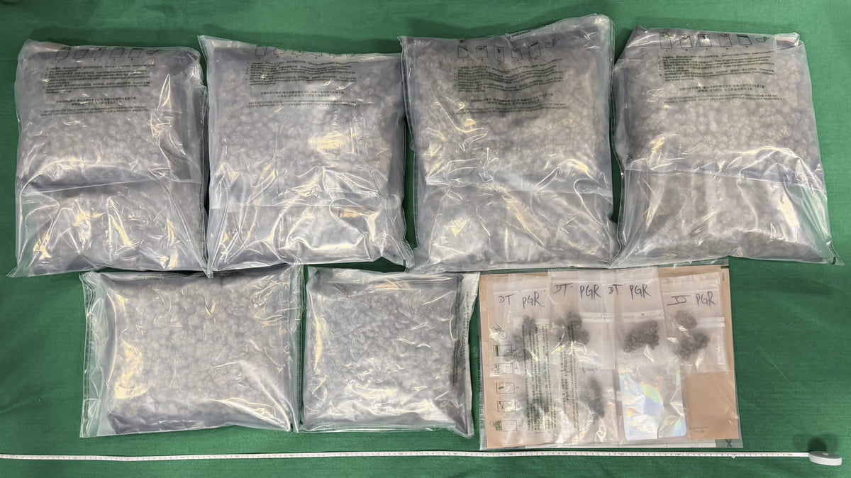 海關機場破旅客販毒案 檢約5公斤懷疑大麻花拘2內地男子