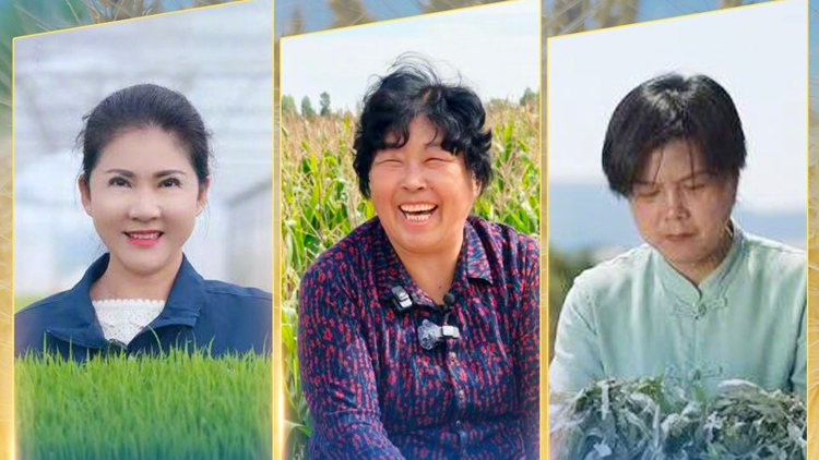 聯合國糧農組織表彰「百位巾幗英雄」 殷玉珍等3名中國女性獲殊榮