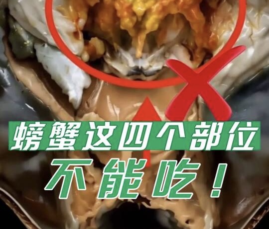 有片｜螃蟹這四個部位不能吃！