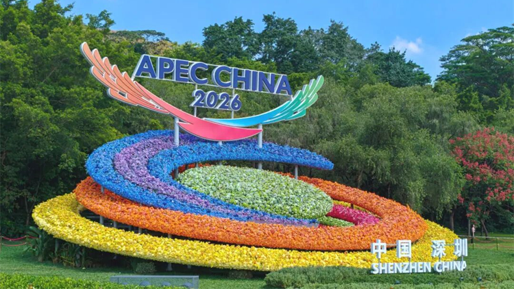 喜迎APEC，深圳歡迎您！