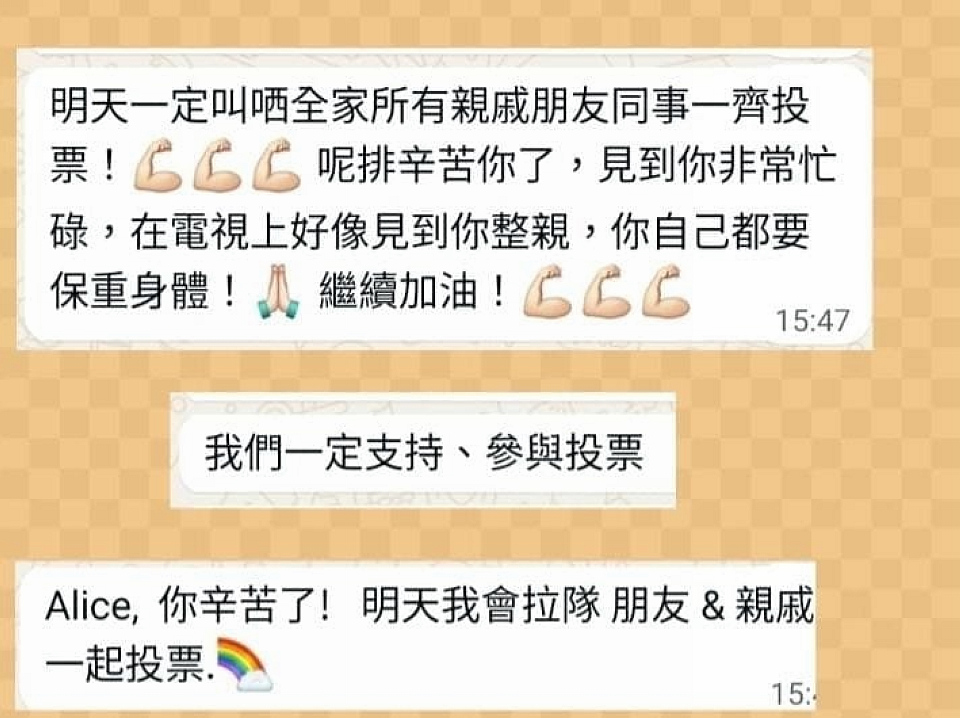立法會選舉丨麥美娟：記得投票建設我們的香港