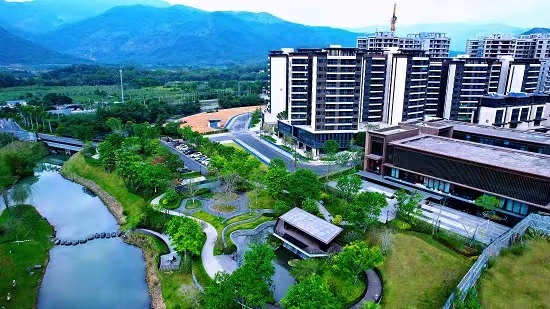 擎旗奮進鑄品牌 黨建賦能啟新程