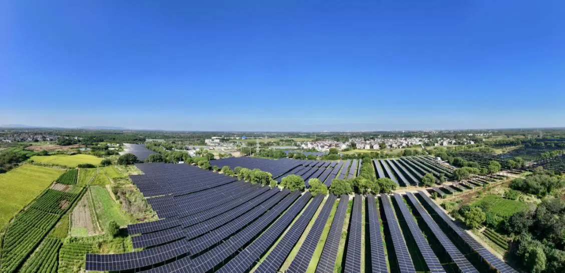 江蘇丹陽：千畝光伏下的「金色」增收與「綠色」賬本