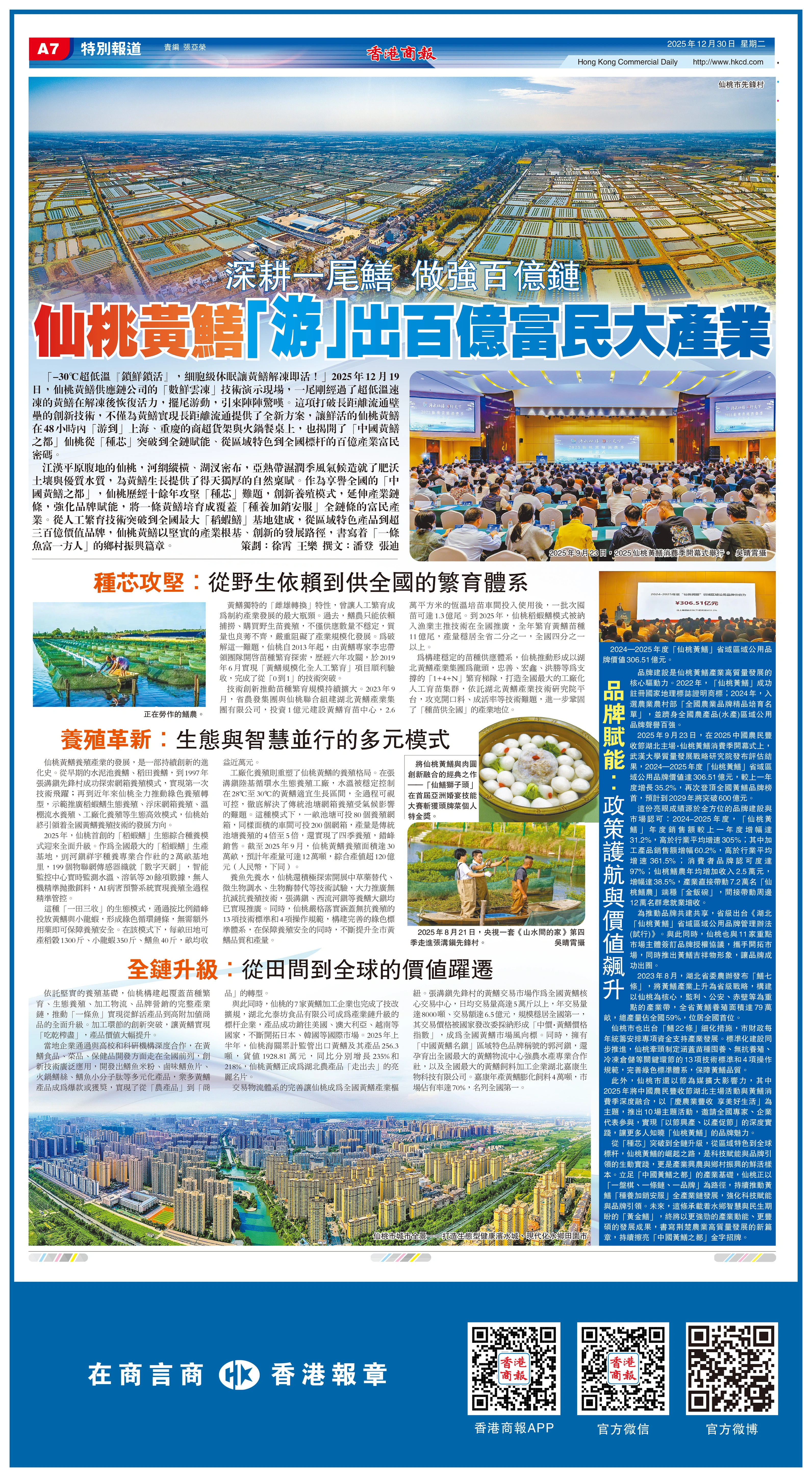 深耕一尾鱔 做強百億鏈 仙桃黃鱔「游」出百億富民大產業