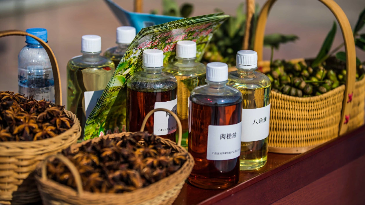 桂容縣走好鄉村振興之路 推動八角、肉桂變身為「金飯碗」