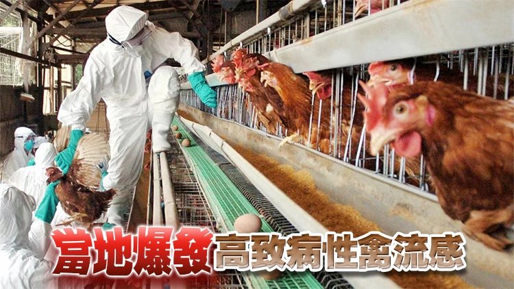 本港暫停進口德國、波蘭、英國、加拿大和日本部分地區禽肉及禽類產品