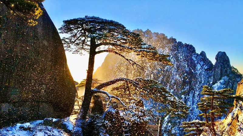 「就在徽州過大年」 黃山市推百項文旅體驗活動邀客全球