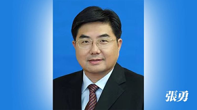中遠海運副總經理張勇調任香港中聯辦副主任