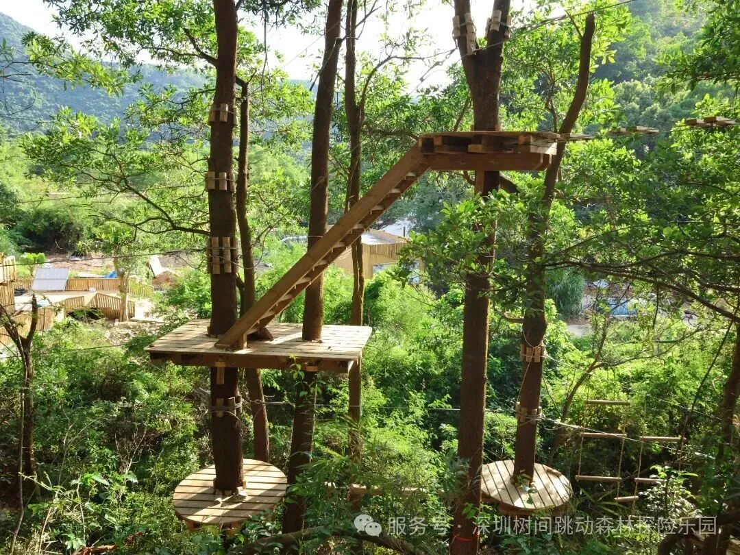 龍崗園山新增森林探險地標 打卡歐盟認證生態盛宴