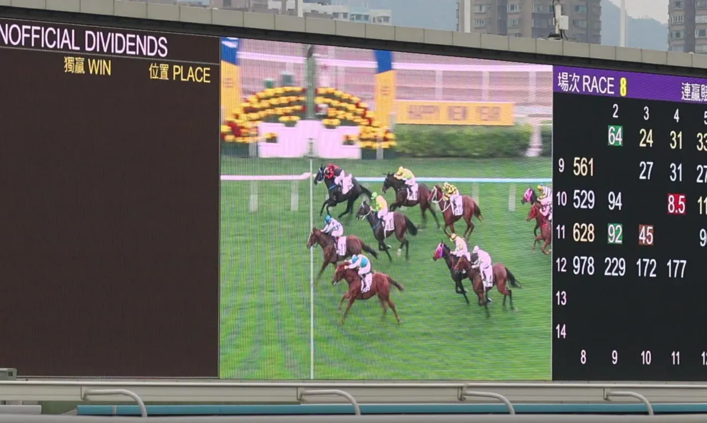 有片丨城城冇入馬場 舞林密碼幾乎贏馬捧盃