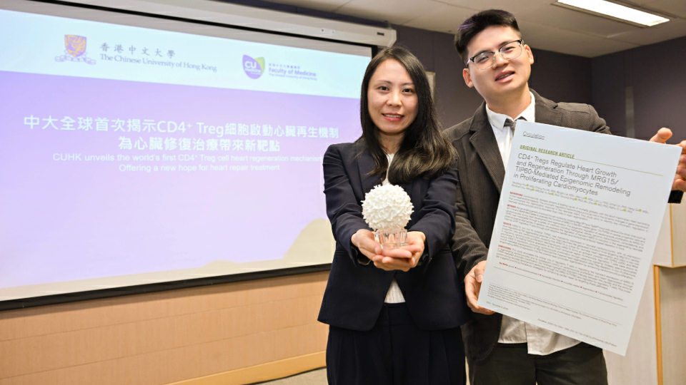 中大全球首次揭示CD4+ Treg細胞啟動心臟再生機制 為心臟修復治療帶來新靶點