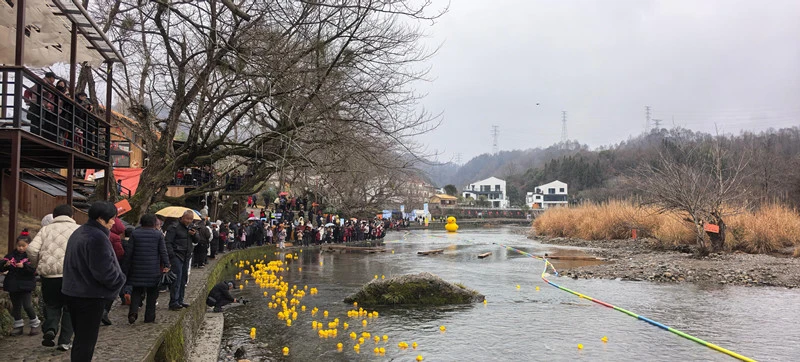 皖黃山區：趣漂楓楊林  萌鴨暖黃山