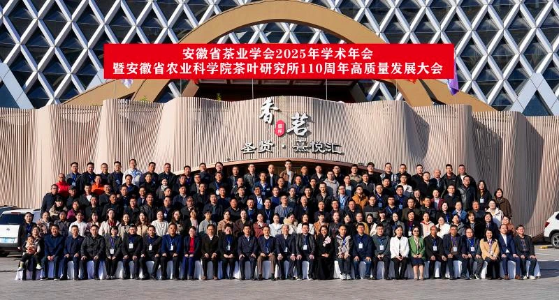 創新路徑多維賦能：2025皖美徽茶大事記