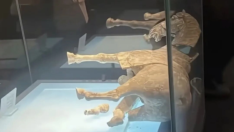 唐代彩繪貼金陶馬碎了？洛陽博物館發布情況說明