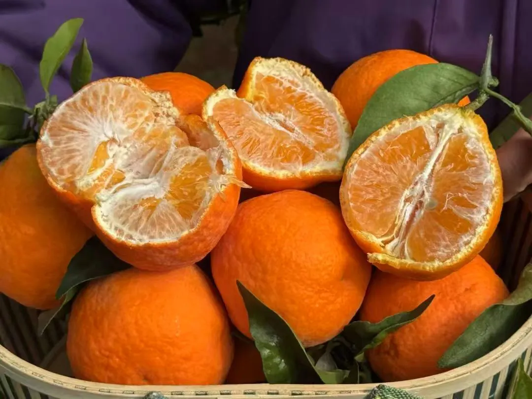 果香滿枝丫，農戶笑開花