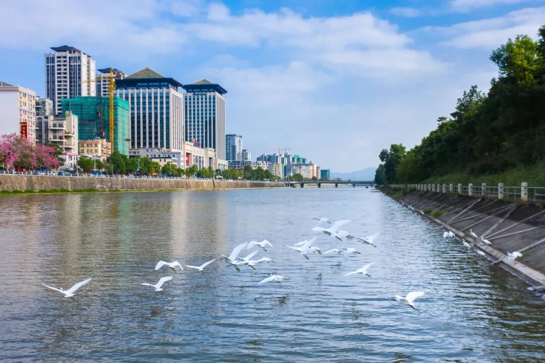 廣東省汕頭市蓮陽河、雲浮市大南河入選2025年全國幸福河湖優秀案例