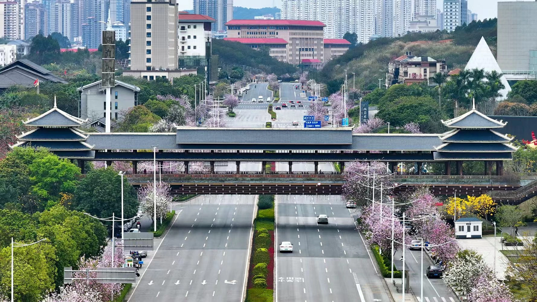 五象新區管委會自然資源局：以產業高質量發展打出資源要素保障「組合拳」