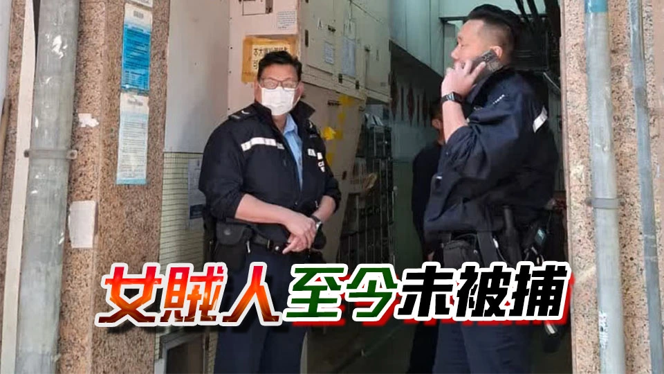 男子被街邊女搭兜 脫衫褲按摩 4萬元金項鍊被偷