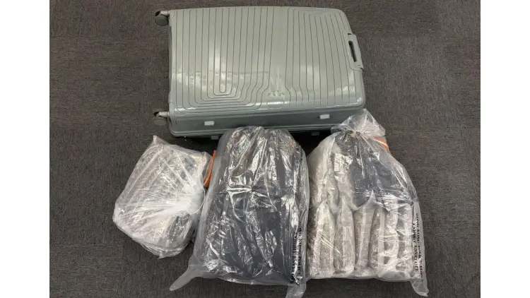 上水鐵皮屋檢獲460萬元毒品 警拘青年下周一提堂