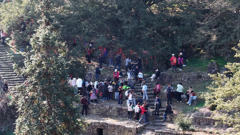 皖黃山區：漫步「天然氧倉」  邂逅「榧常」樵山