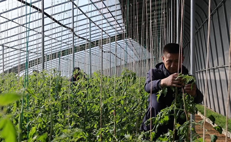 【視聽山東】特色產業勾勒鄉村幸福畫卷