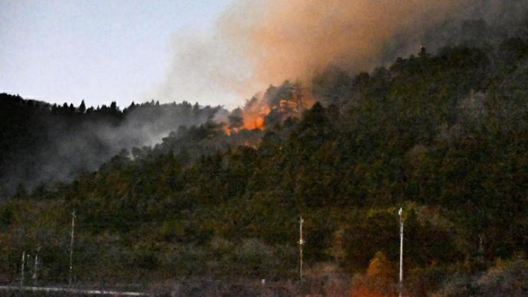 日本多地山火強風阻礙滅火