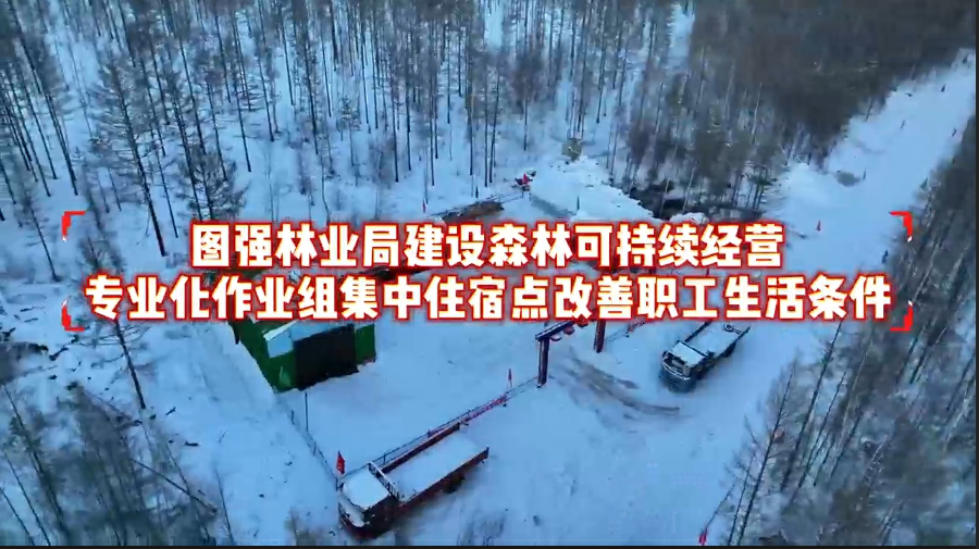 有片｜大興安嶺地區圖強林業局建設森林可持續經營 專業化作業組集中住宿點改善職工生活條件
