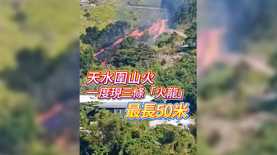有片 | 天水圍山火 一度現三條「火龍」 最長50米