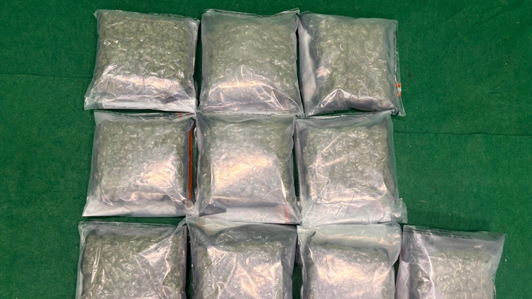 海關機場偵破兩宗毒品案件 檢230萬元懷疑大麻花