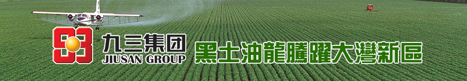 黑土地龍騰虎躍大灣區