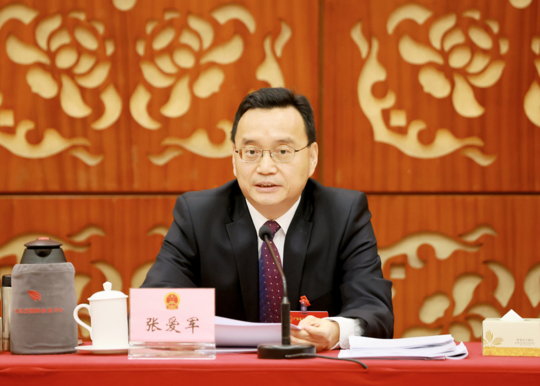 廣東省人大代表、肇慶市委書記張愛軍  攝影：盧偉.jpg