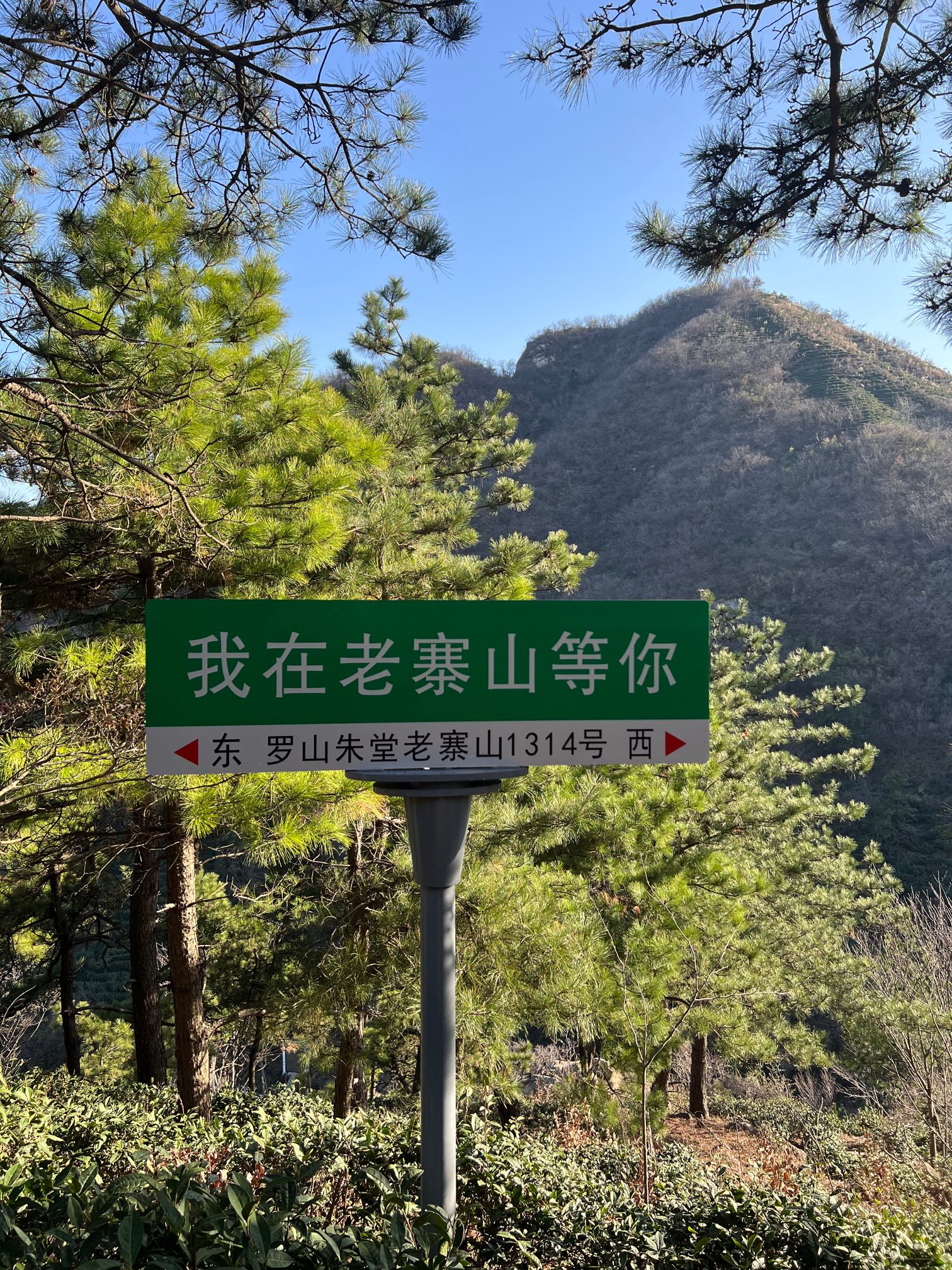 老寨山3.jpg