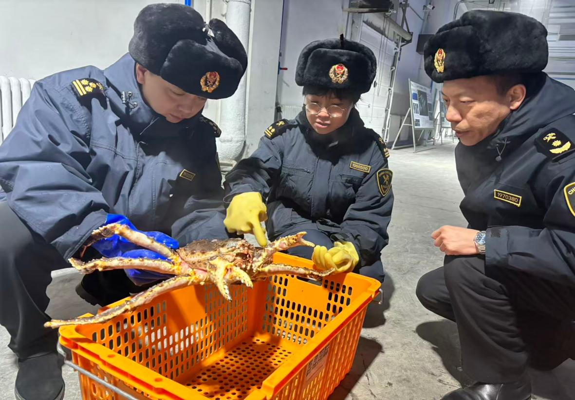 图片2.jpg