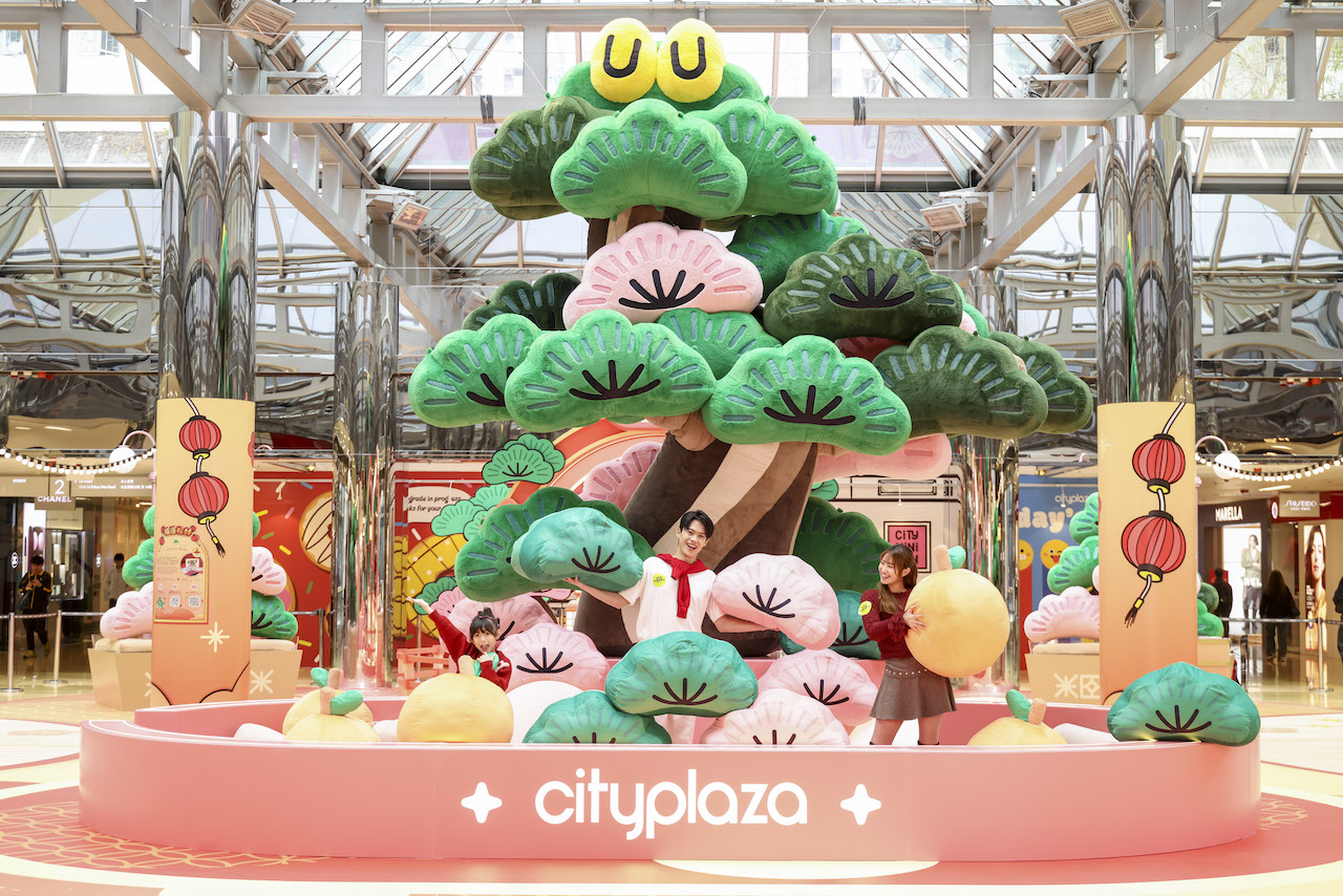 太古城中心_常滿聚抱樹 (1).JPG