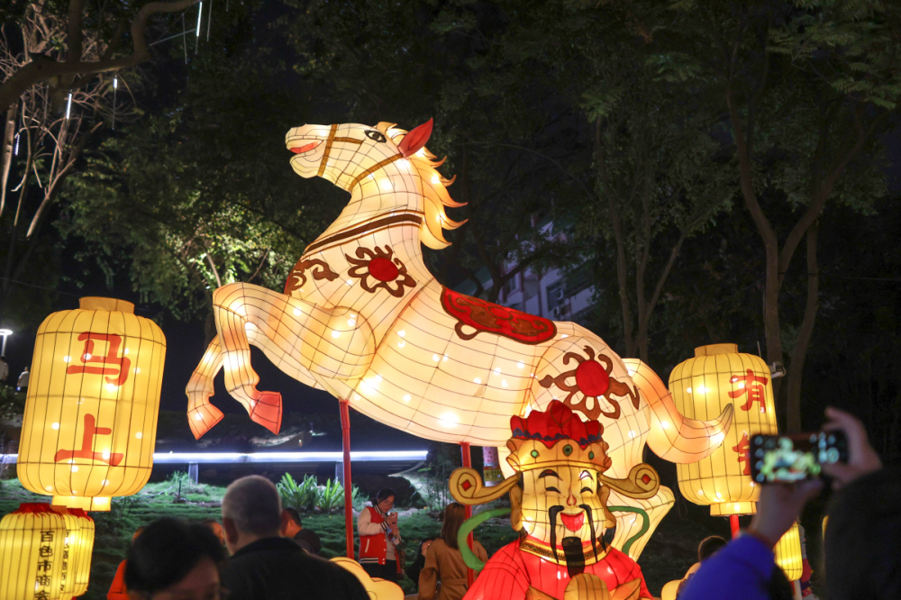 4.百果園外的花燈造型（梁力升攝）.jpg