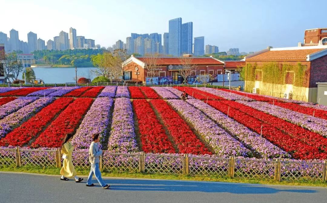 圖五：龍江歲月 梁健 攝.jpg